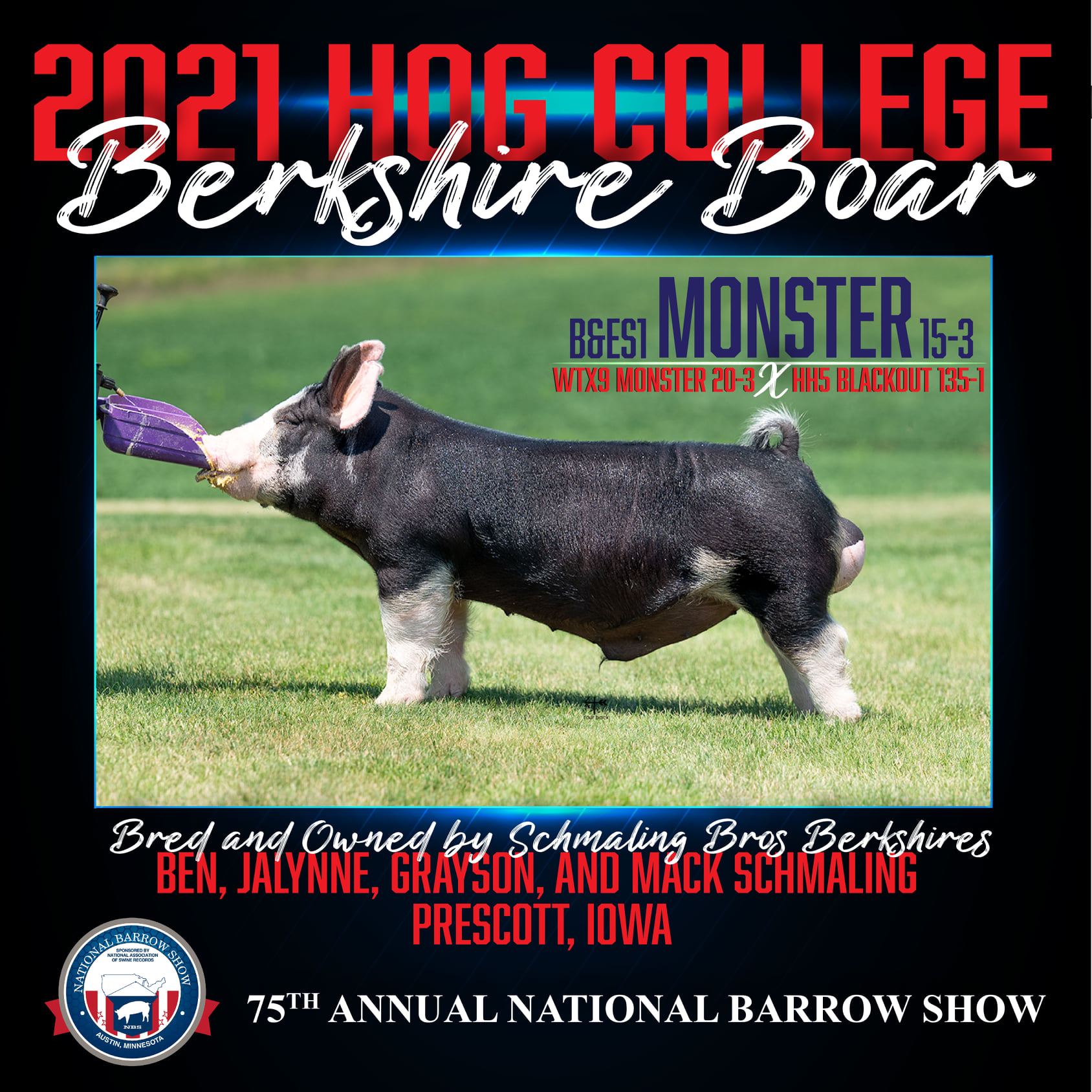 2021 Berkshire Hog College Boar and Gilt American Berkshire