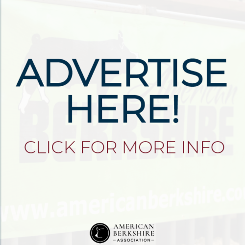 American Berkshire Association | Home - American Berkshire Association ...