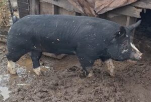 20241109_144318_exported_22~3