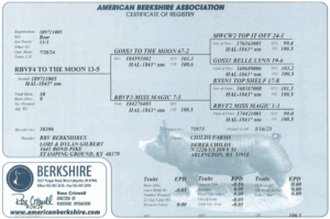 Screenshot 2025-07-24 at 11.55.23 AM