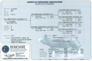 Screenshot 2025-07-31 at 11.08.07 AM