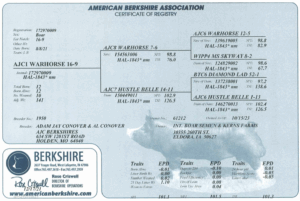 Screenshot 2025-07-31 at 11.13.55 AM