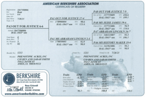 Screenshot 2025-07-31 at 11.23.30 AM