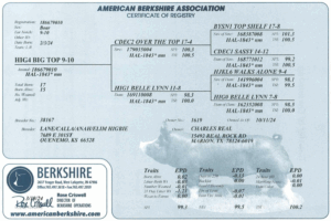 Screenshot 2025-07-31 at 11.27.24 AM