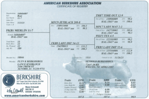 Screenshot 2025-07-31 at 11.42.11 AM