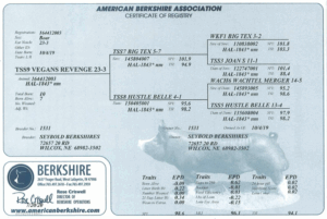 Screenshot 2025-07-31 at 11.51.48 AM