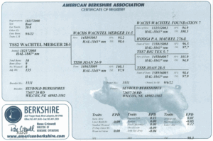 Screenshot 2025-07-31 at 11.53.31 AM