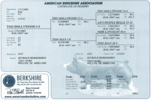 Screenshot 2025-07-31 at 11.56.02 AM