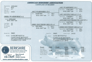 Screenshot 2025-08-11 at 10.18.28 AM